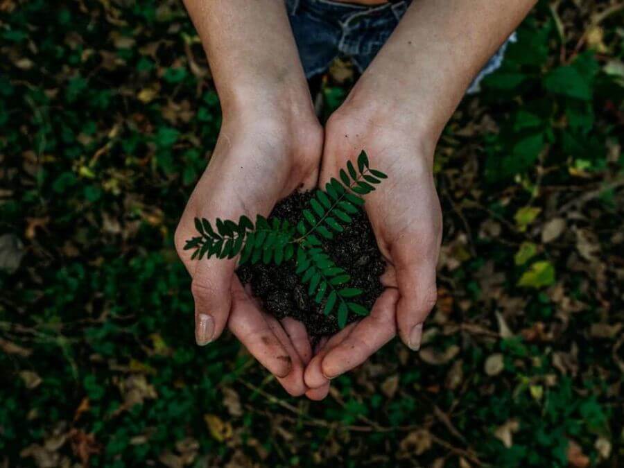 Learn to Build Sustainable Homes