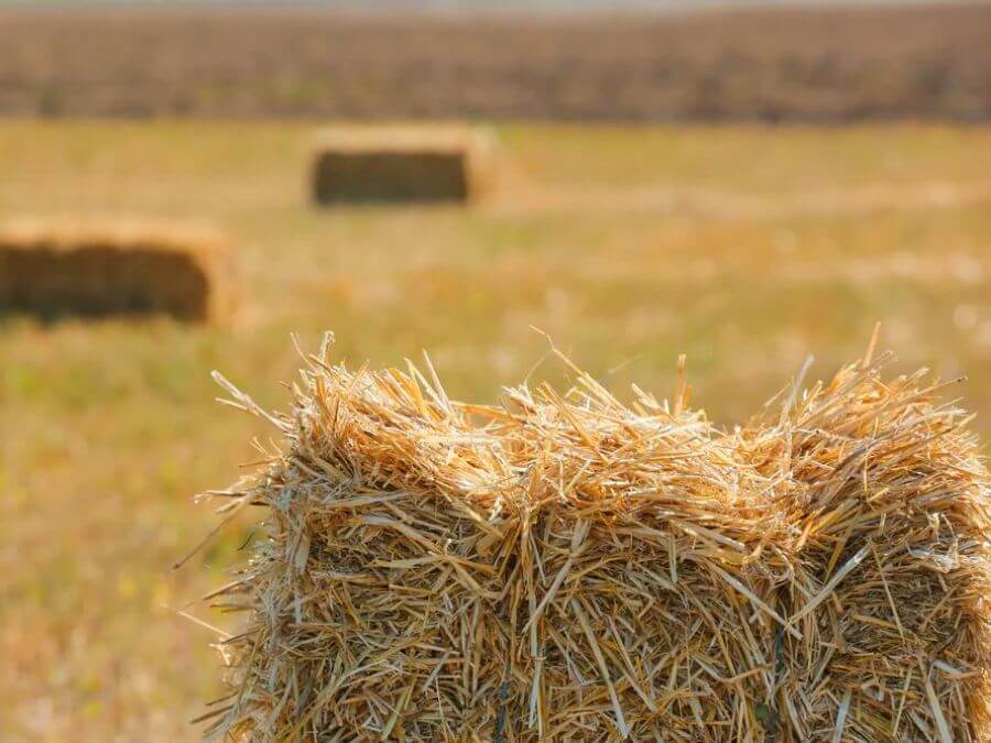 How Straw Bales Can Be Used For Insulation