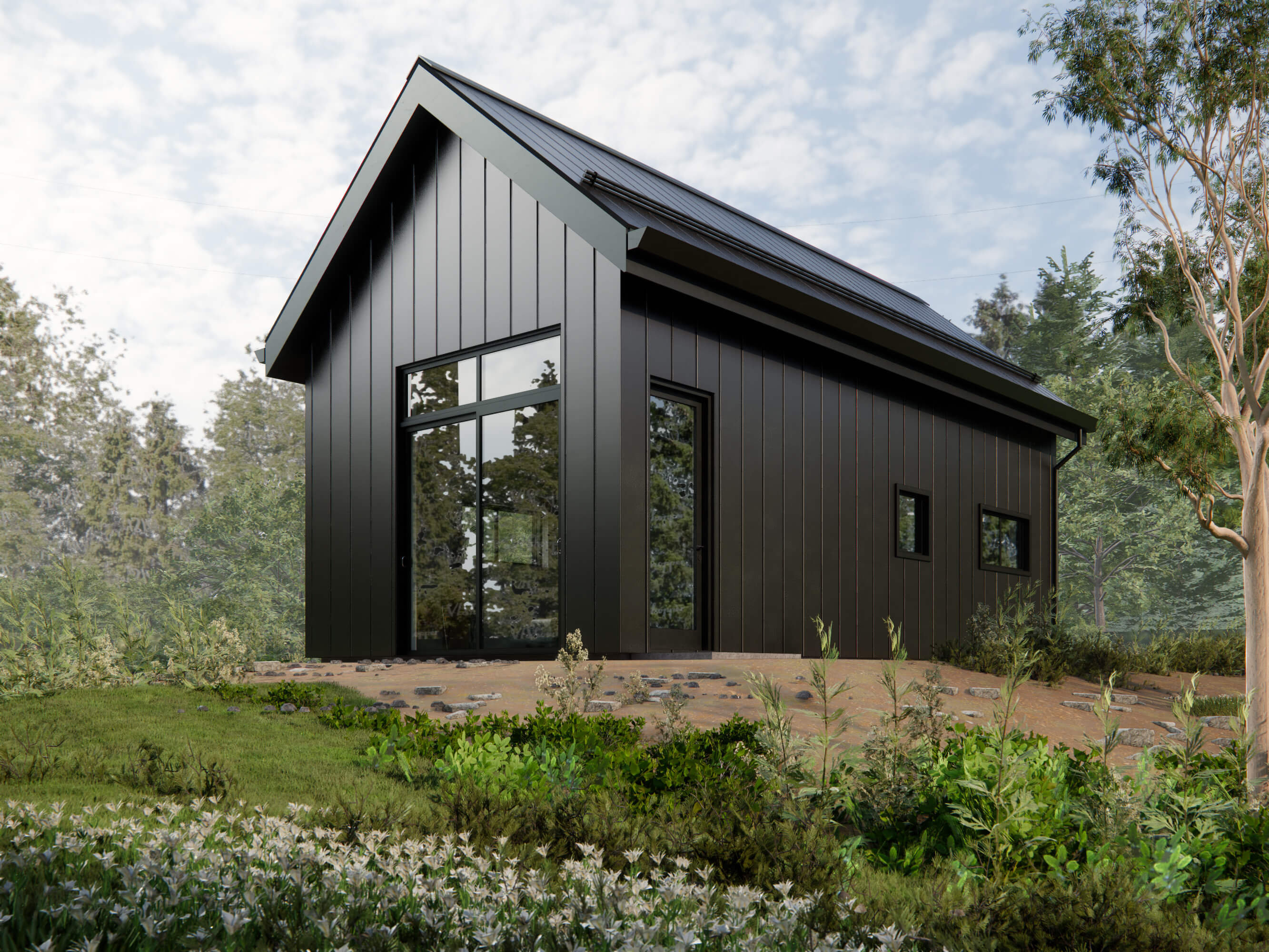 Design with Frank's ADU Exterior. Black toned house in Standing Metal Seam Roof and Siding