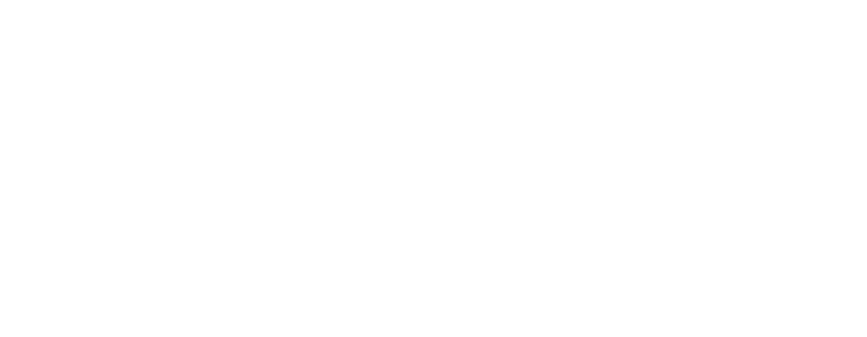 design with frank logo white