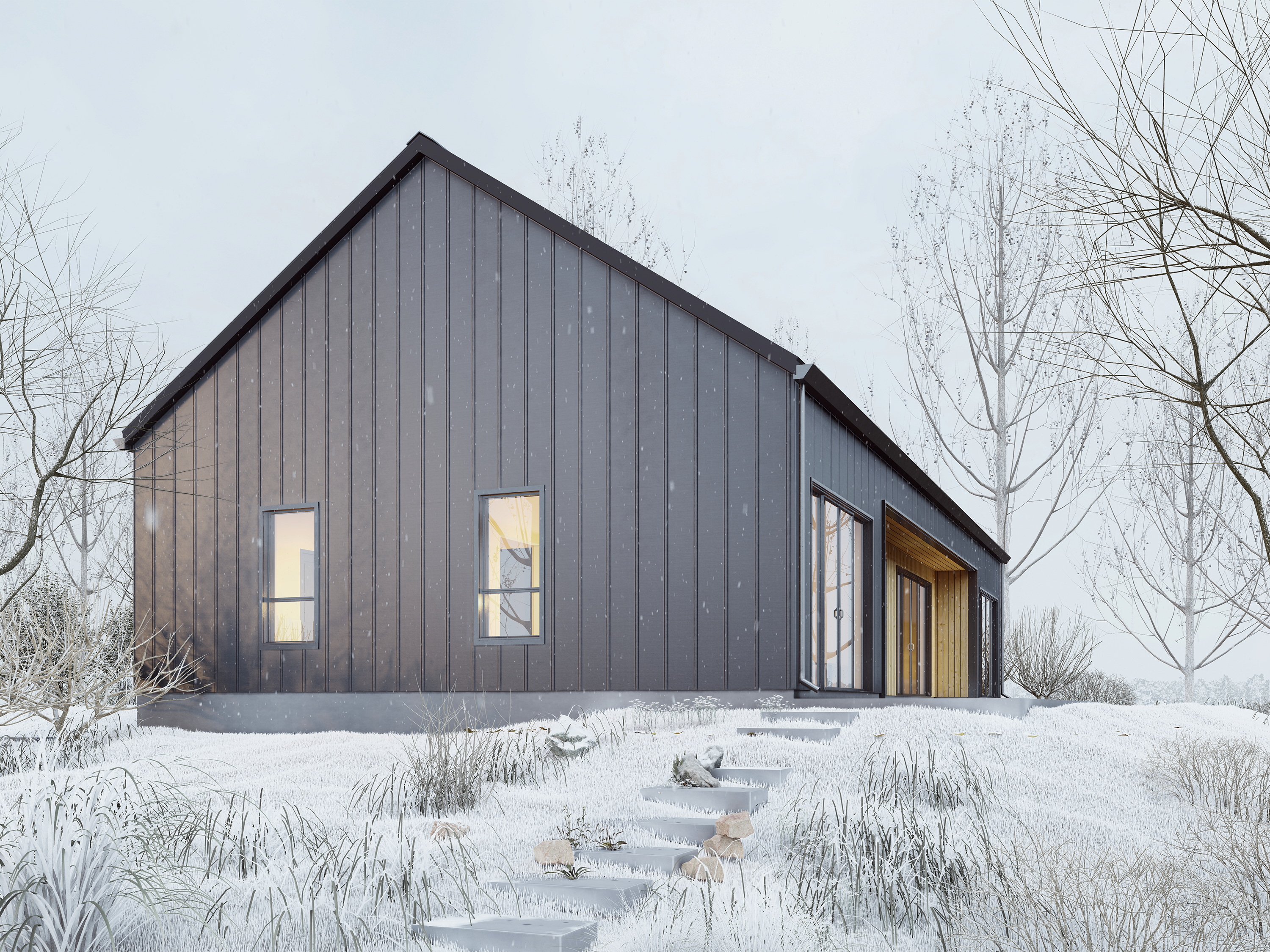 DesignwithFRANK's 2 Bedroom Modern Large Cabin. Black Standing seam metal roof and siding
